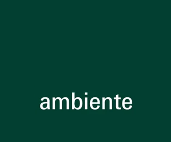 Ambiente
