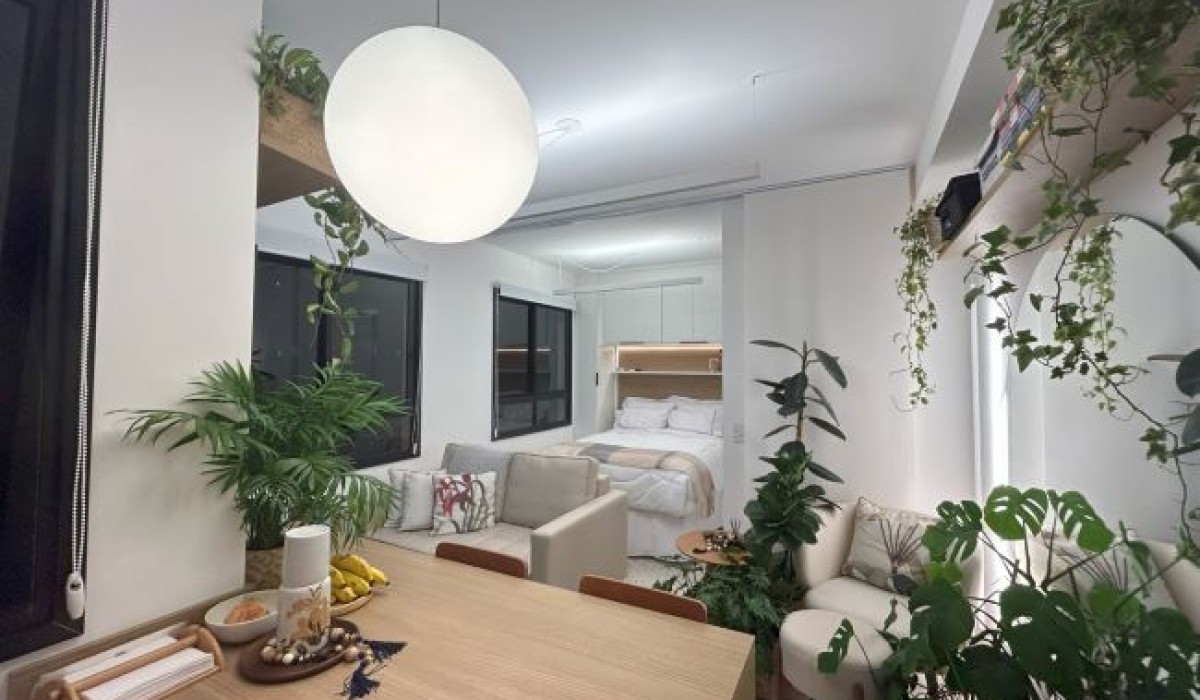 10 dicas para decorar apartamentos pequenos com plantas