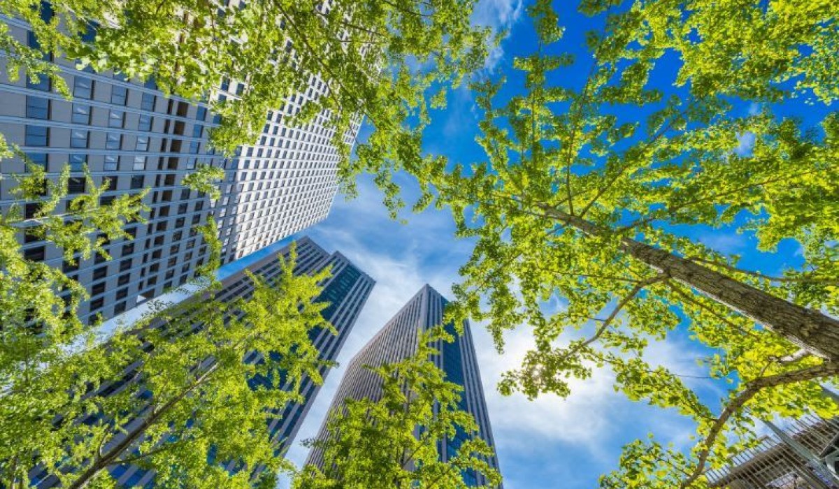 Foco na Sustentabilidade: Evento reúne especialistas para debater o futuro da Arquitetura, Design e Construção