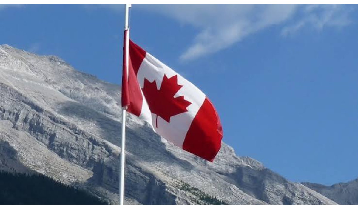 Canadá impõe sobretaxa de 25% sobre importações de móveis de madeira
